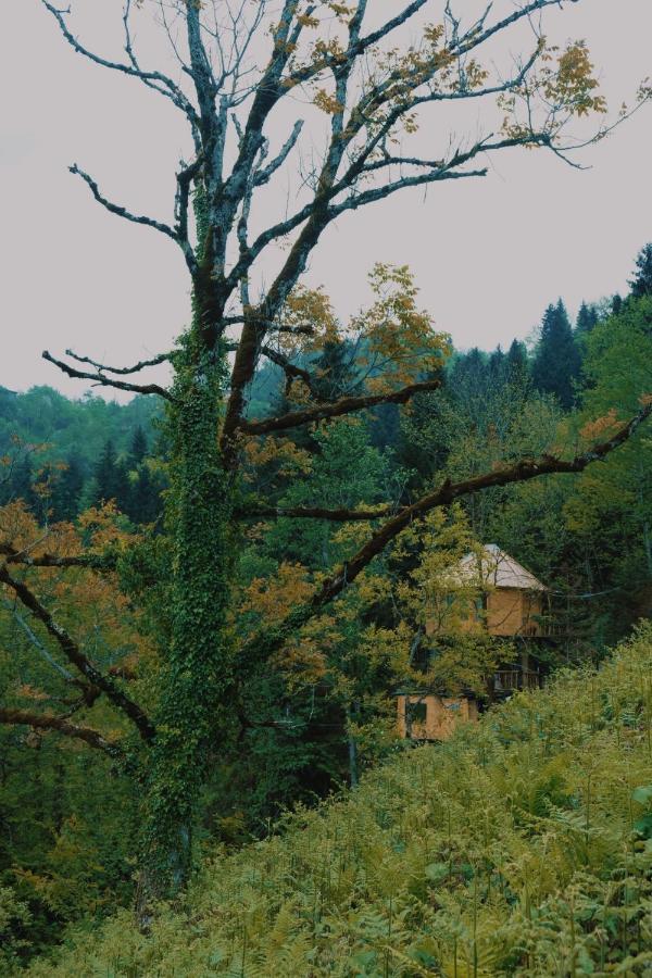 Hill Inn Keda ภายนอก รูปภาพ